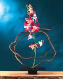 Jarrón Japonica Ikebana Cuadrada
