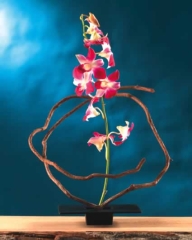 Japonica Ikebana-Vase Cuadrada