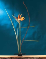 Japonica Ikebana-Vase Cuadrada