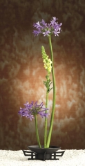 Japonica Ikebana-Vase Cipango